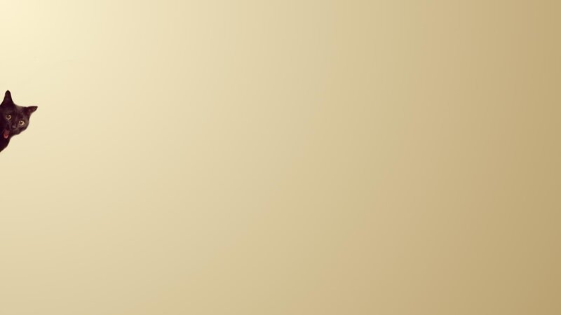 Black Cat Peeking — Beige