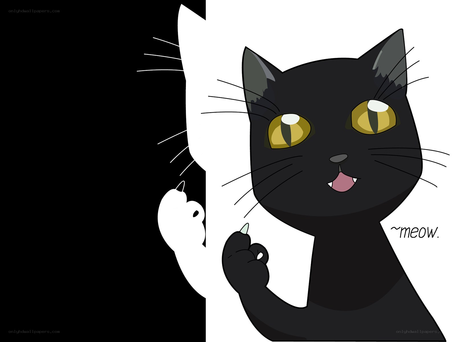 black cat peeking out