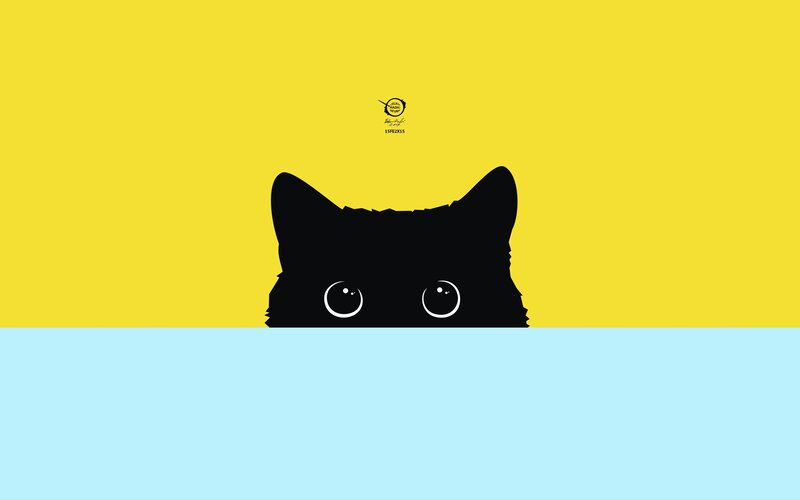 Black Cat Peeking — Yellow