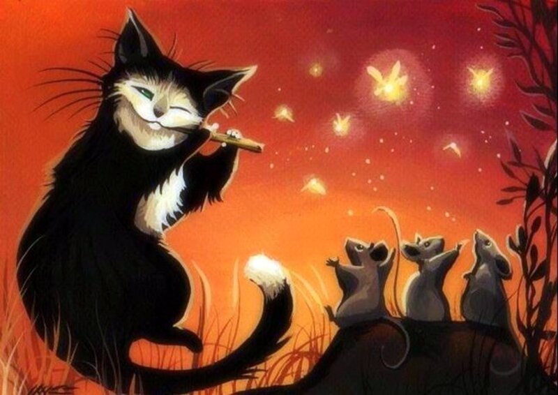 Black Cat Playing Flute