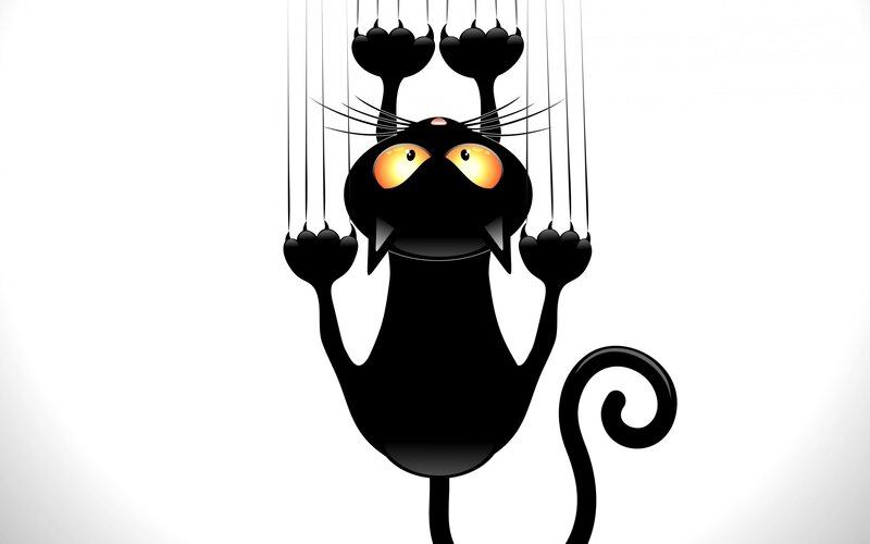 Black Cat Puppet