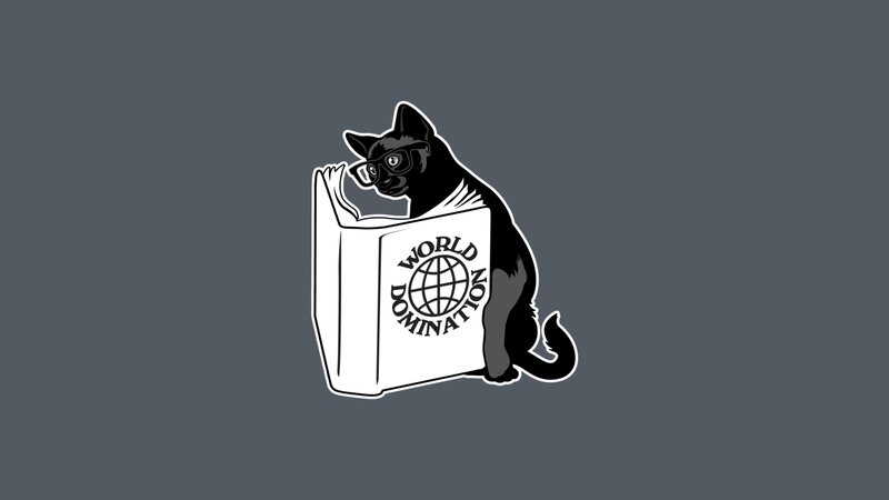 Black Cat Reading Book