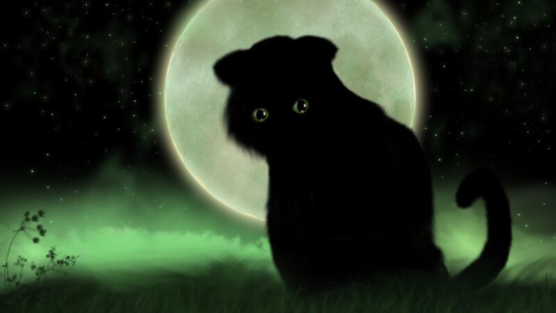 Black Cat Silhouette — Green, Mysterious, Night