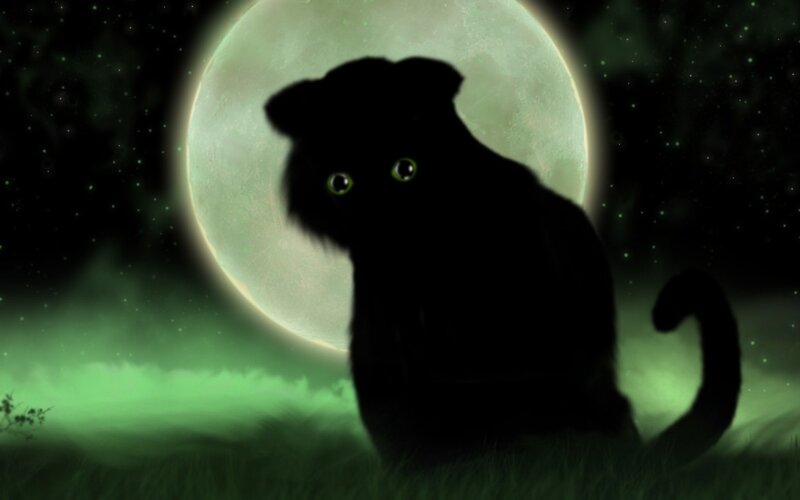 Black Cat Silhouette — Green, Mysterious
