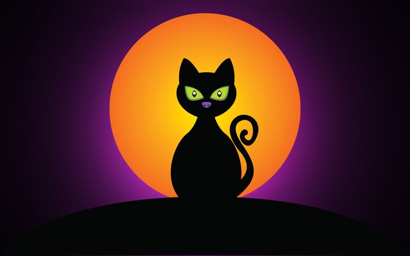 Black Cat Silhouette — Mysterious, Night