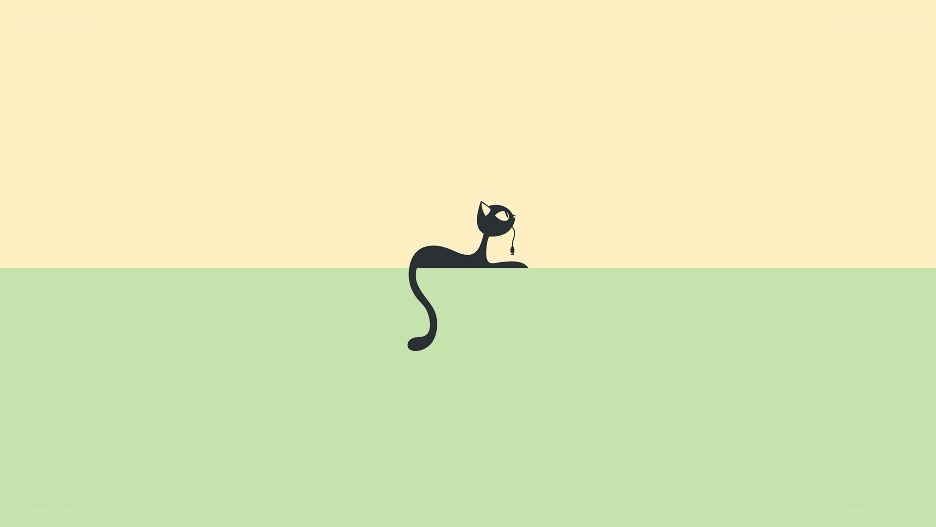 black cat silhouette on green
