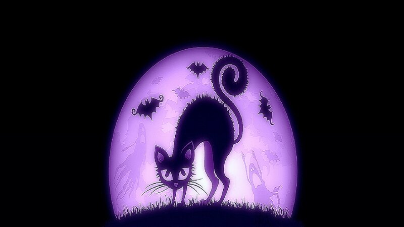 Black Cat Silhouette — Purple, Spooky