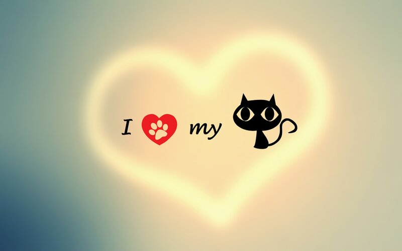 Black Cat Silhouette — Yellow, Calm