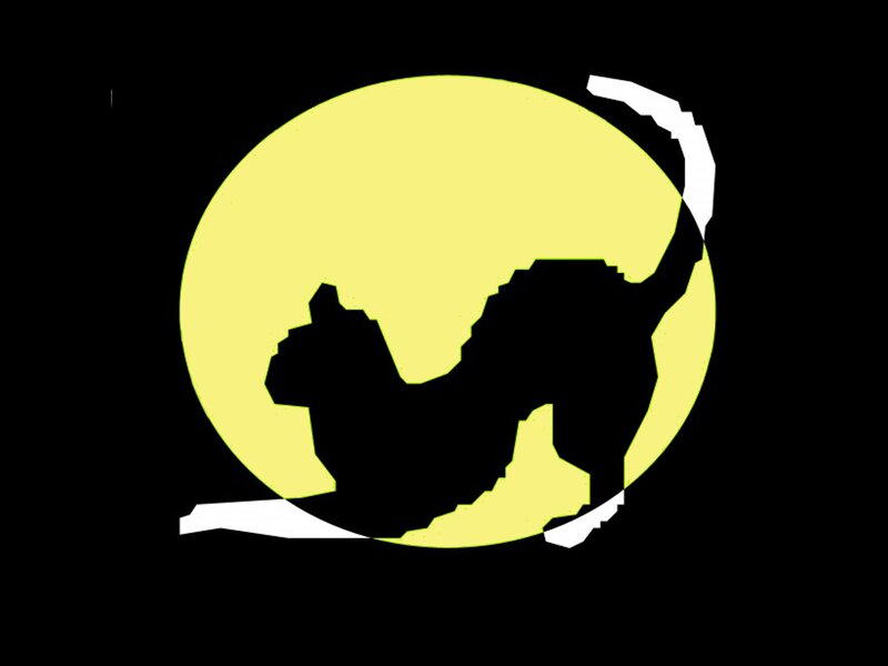 Black Cat Silhouette — Yellow, Dramatic, Night