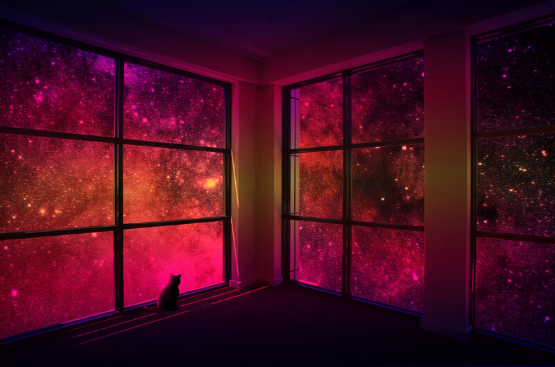 Black Cat Sitting by Window
