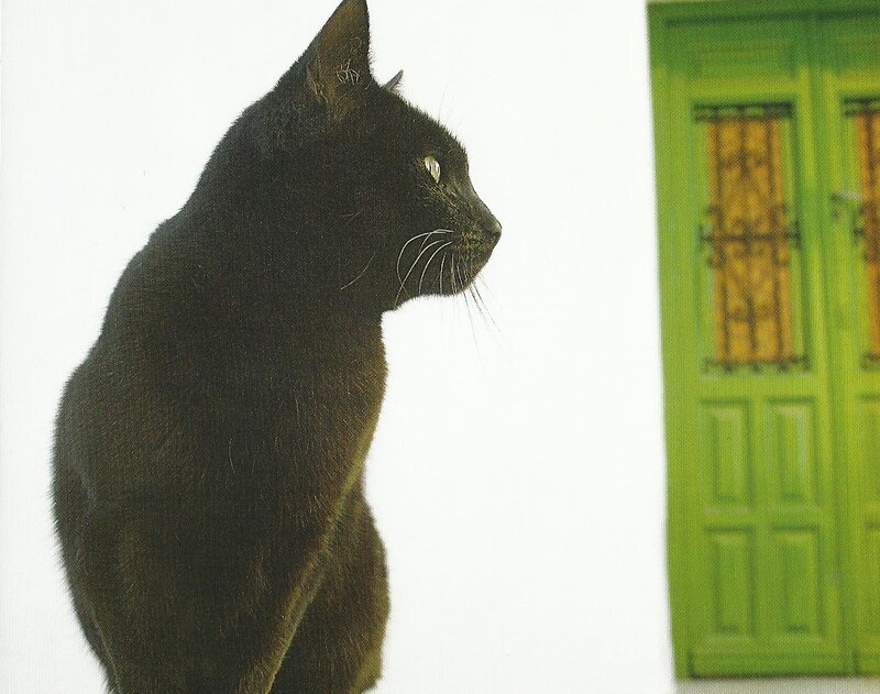 Black Cat Sitting — Calm, Photograph, Green Door