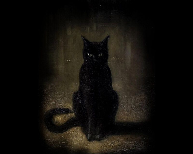 Black Cat Sitting — Dramatic