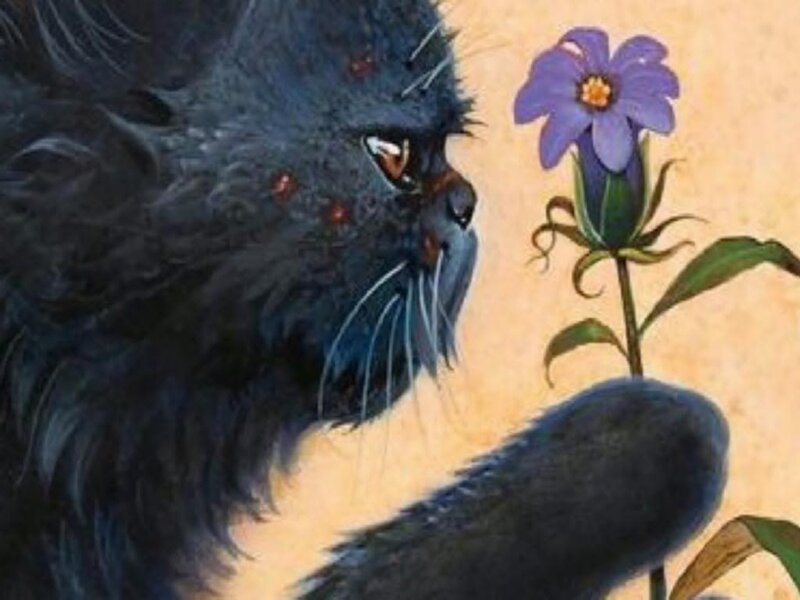 Black Cat Smelling Flower