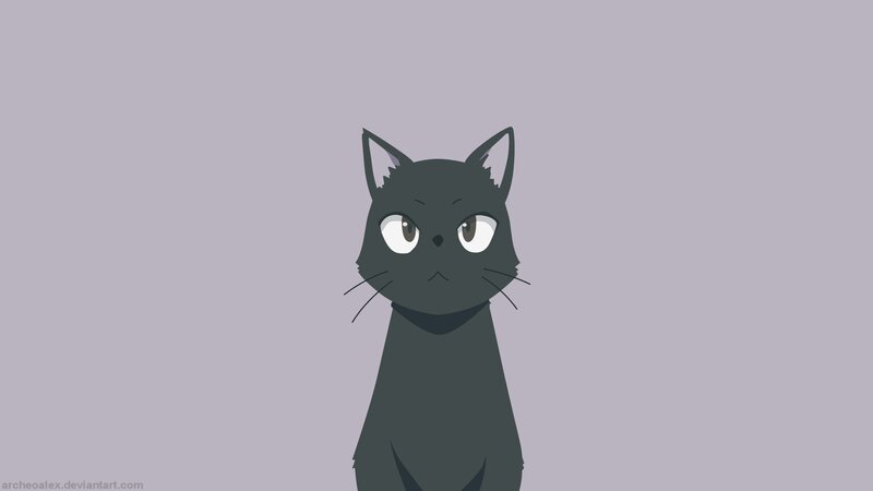 Black Cat