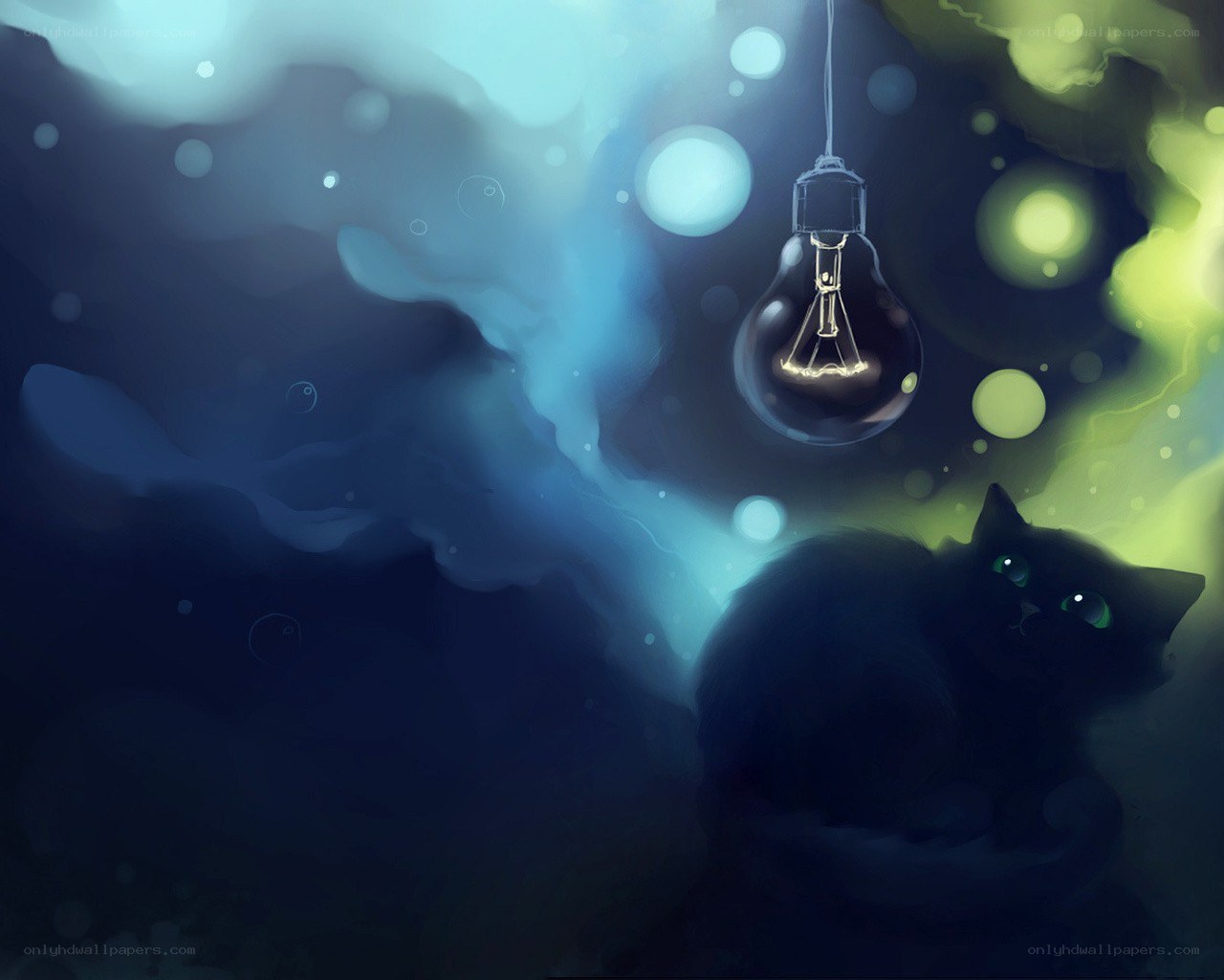 Black cat under a light bulb