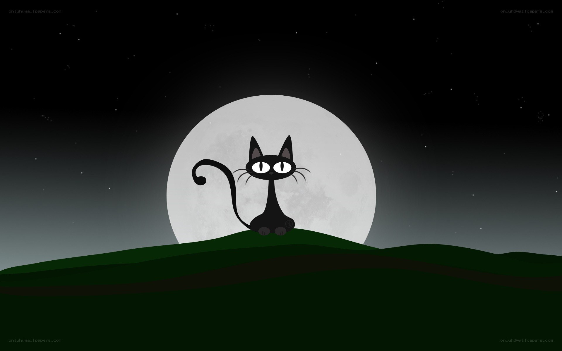 black cat under moon