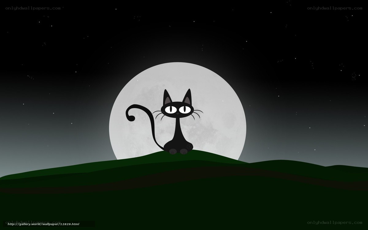 black cat under moon