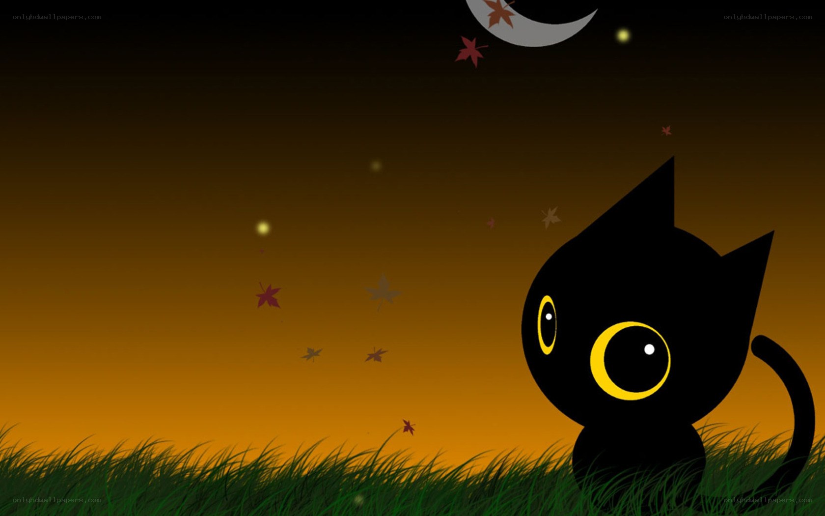 Black cat under moonlight