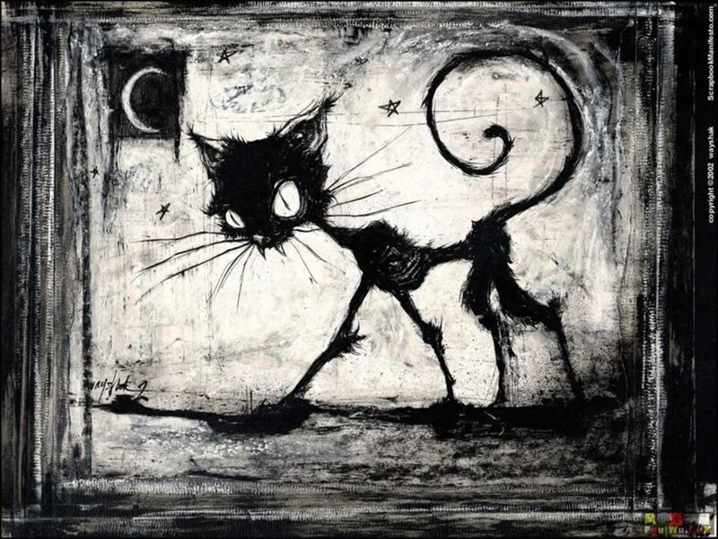 black cat under moonlight