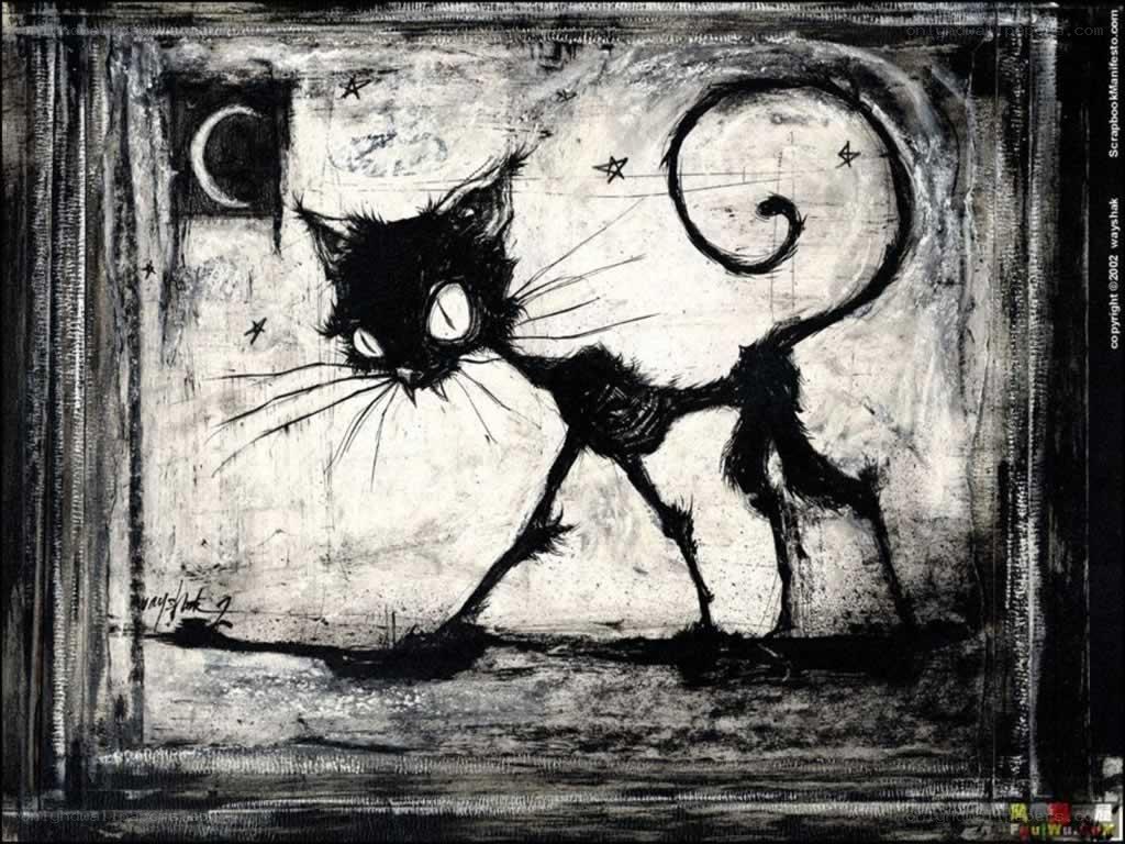 black cat under moonlight
