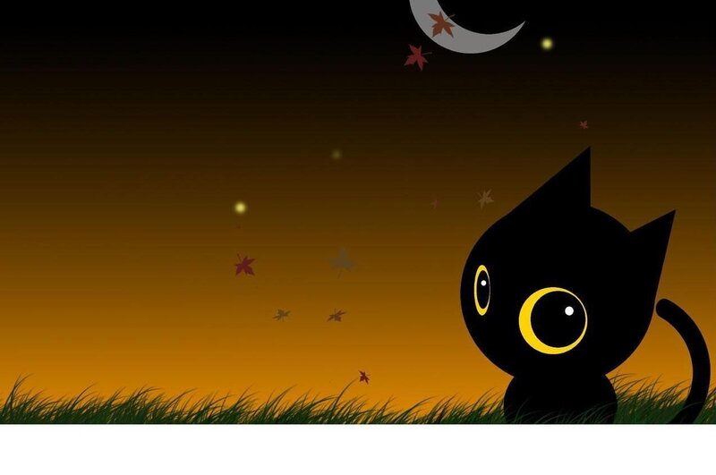 black cat under moonlight
