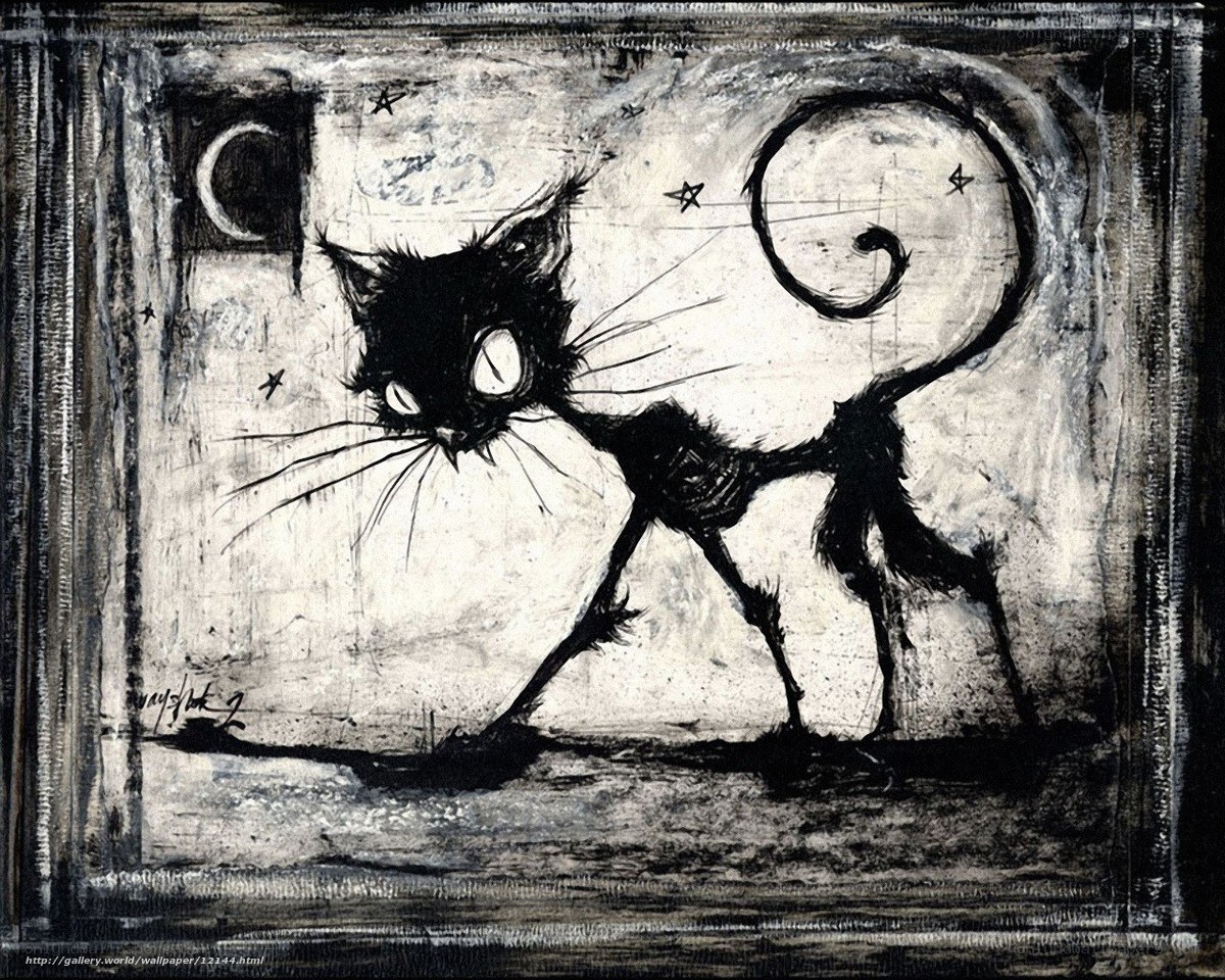 black cat under moonlight