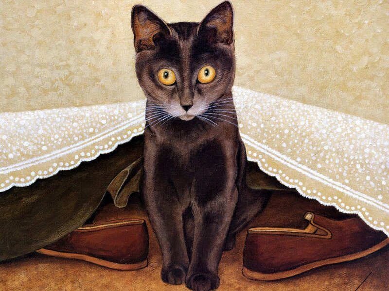 Black Cat under Table