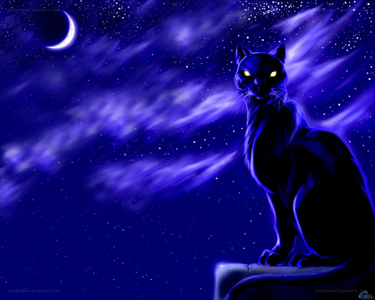 black cat under the moon
