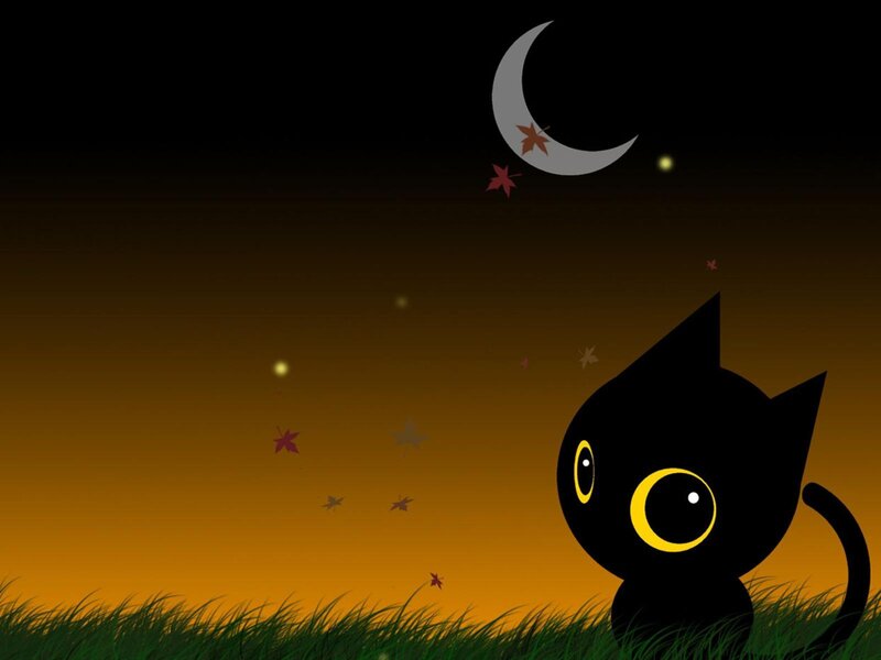 Black cat under the moon