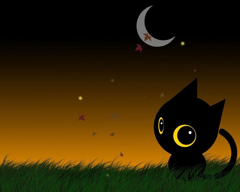 Black cat under the moon