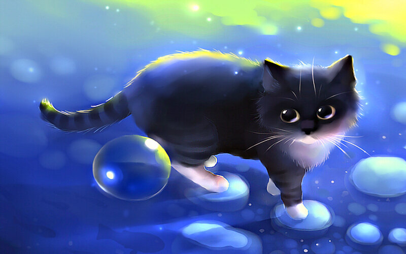 Black Cat Underwater — Blue