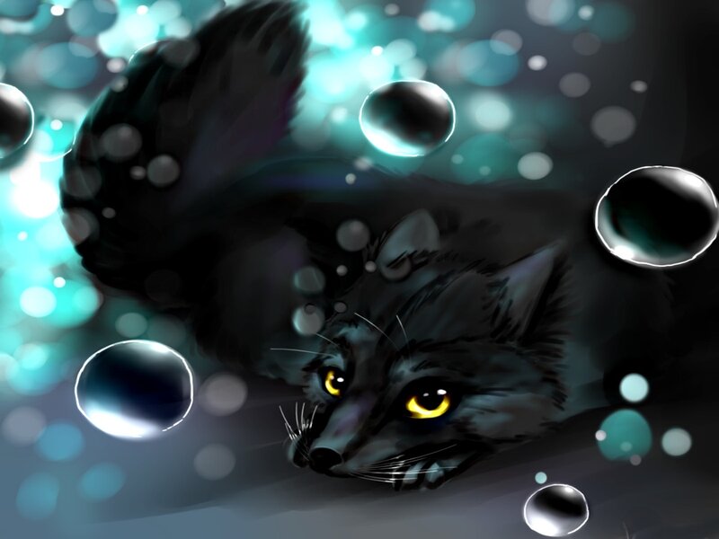 Black Cat Underwater — Mysterious
