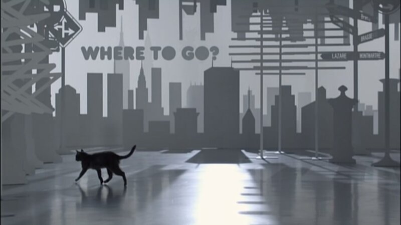 Black Cat Walking — Gray