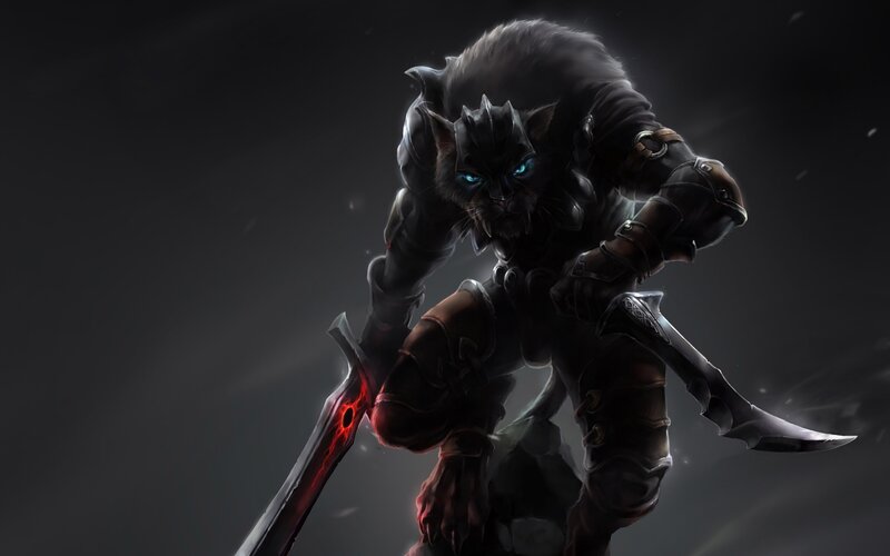 Black Cat Warrior