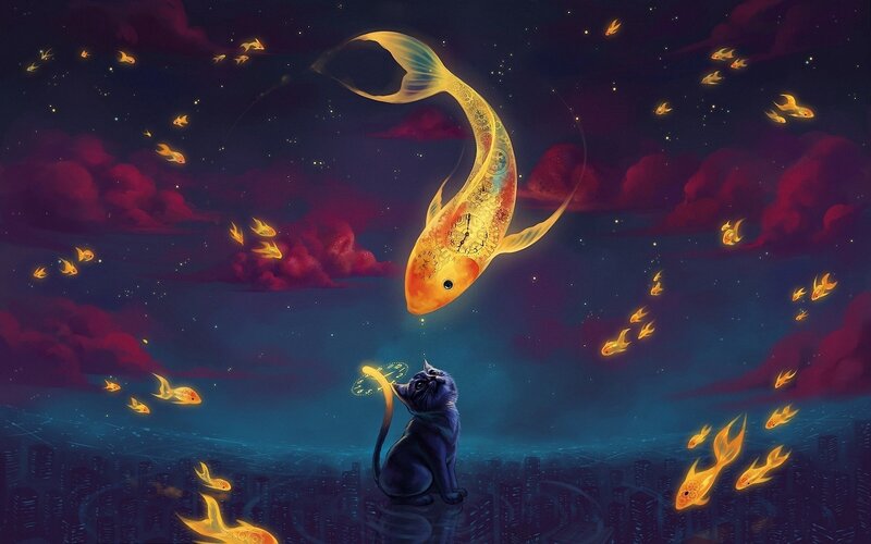 Black Cat Watching Fish — Blue