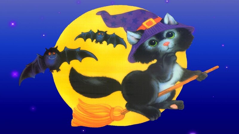 Black Cat Witch