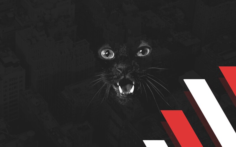 Black Cat with Bared Teeth — Dramatic