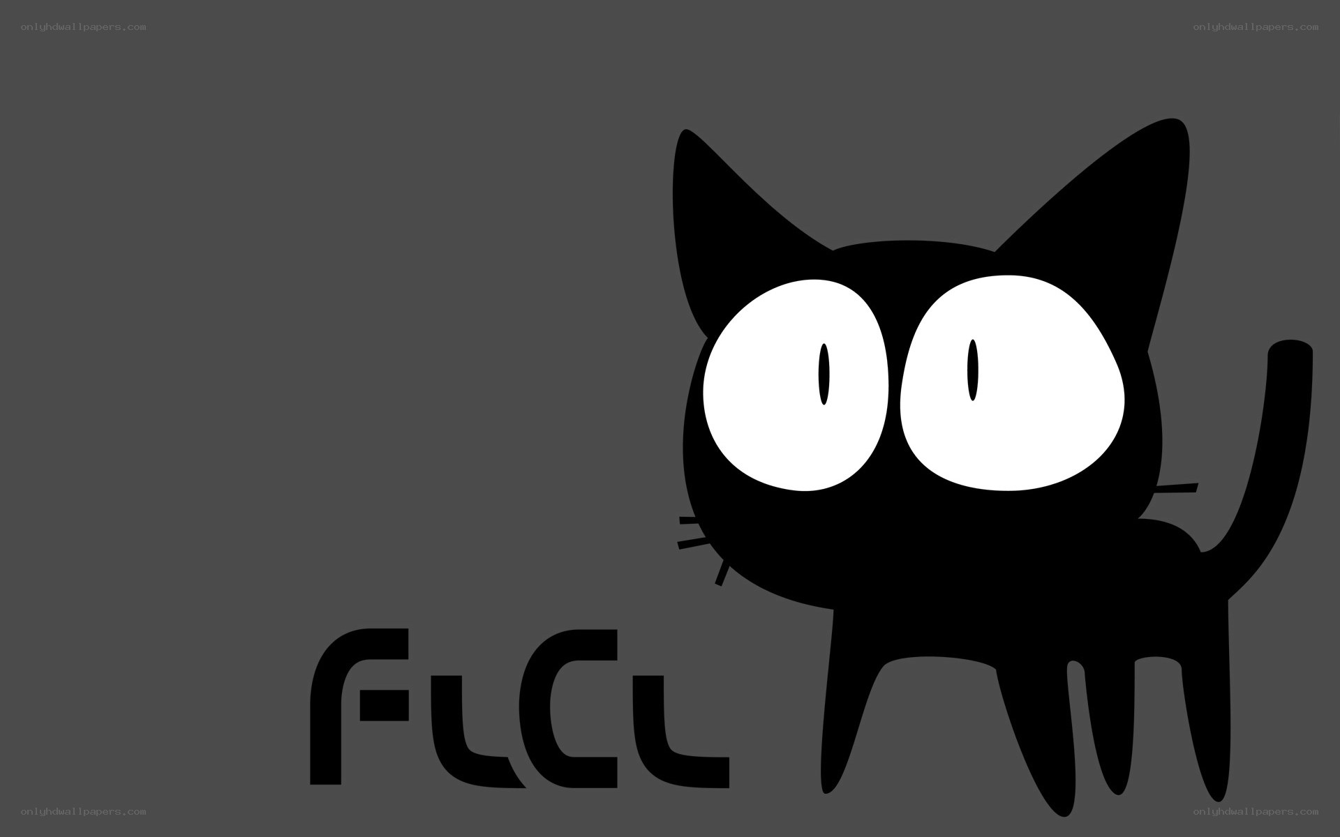black cat with big eyes