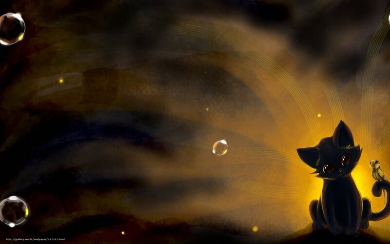 black cat with bird in golden light
