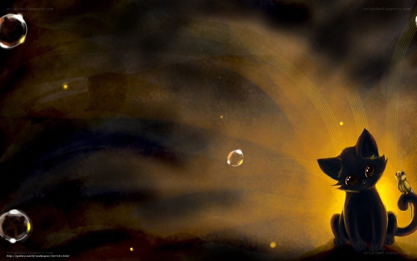 black cat with bird in golden light