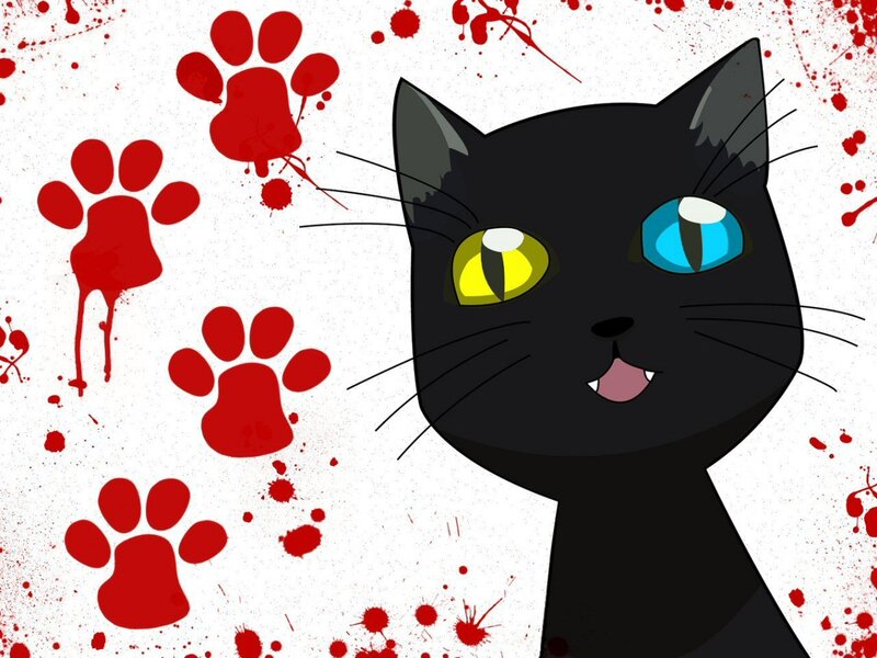 black cat with blood paw prints