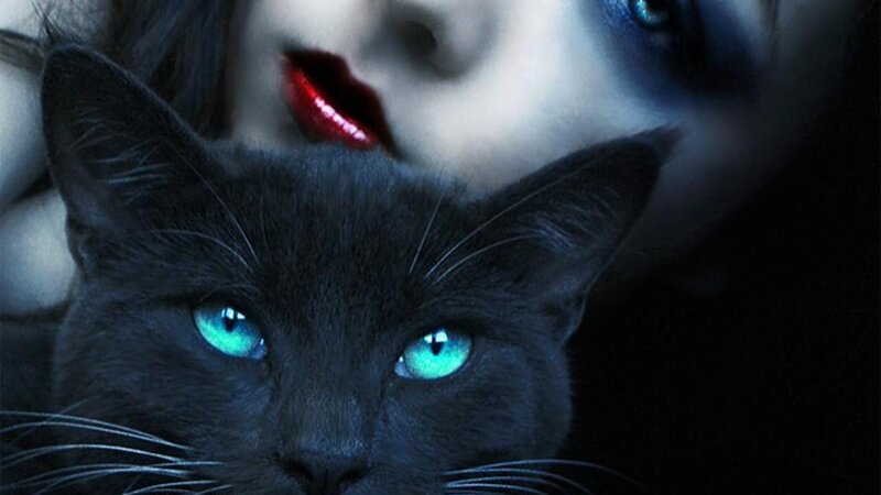 Black Cat with Blue Eyes — Dramatic, Night, Digital Art