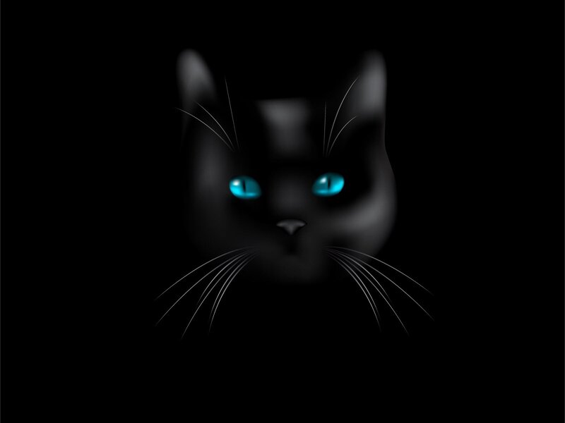 Black Cat with Blue Eyes — Mysterious, Night