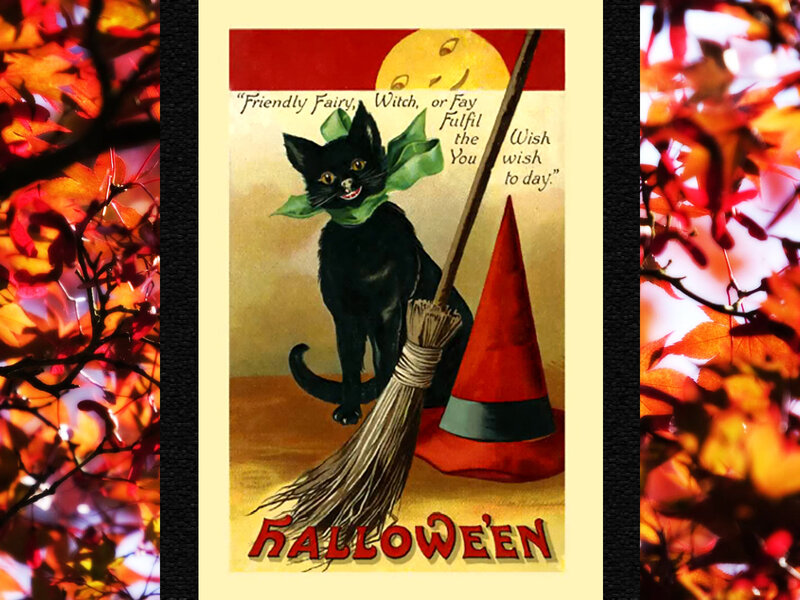 Black Cat with Broom
