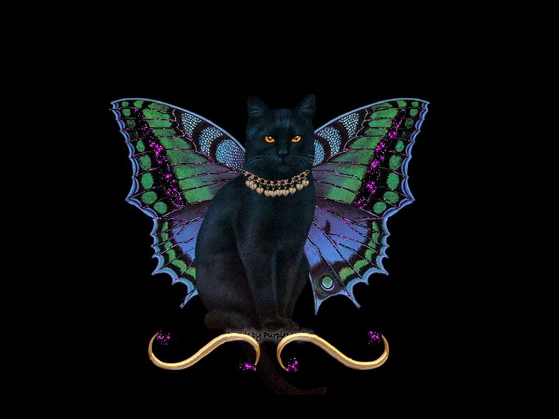 Black Cat with Butterfly Wings