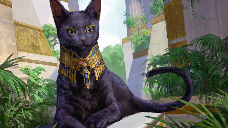 Black Cat with Collar — Serene