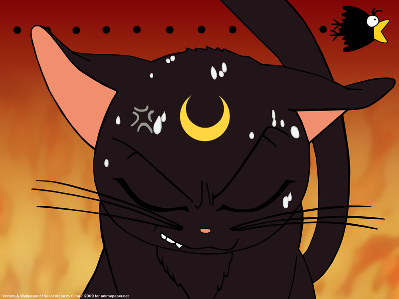 Black Cat with Crescent Moon — Dramatic