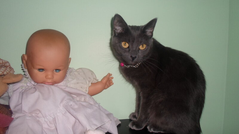 Black Cat with Doll