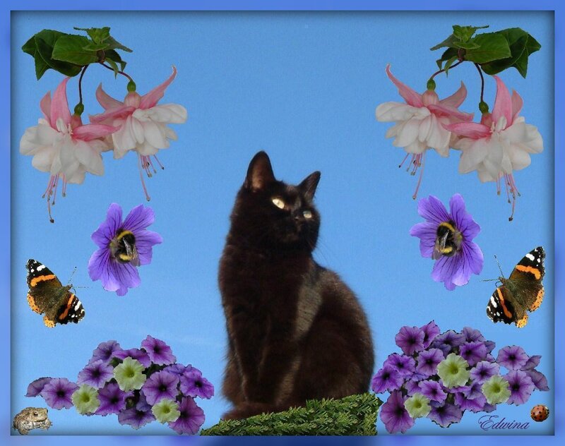 Black Cat with Flowers — Blue