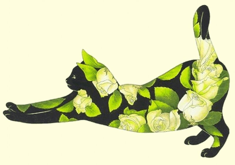 Black Cat with Flowers — Calm